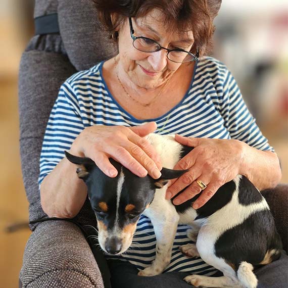 le chien dans les Ehpad à bègles