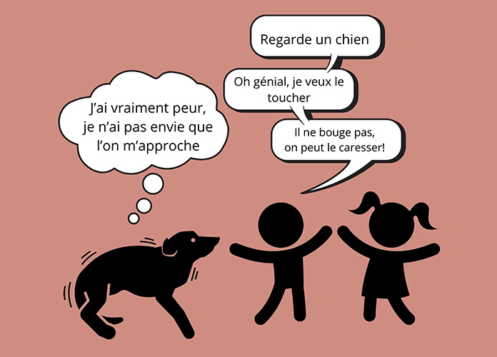 PECCRAM, prévention morsure, éducation a la connaissance du chien