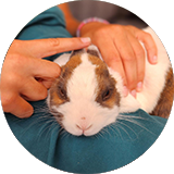 sensorialité, découverte des sens