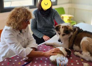 séance de groupe adultes en situation de difficulté sociale