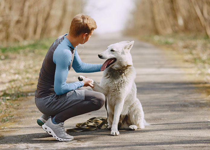 cynophobie joggeurs footing, coureurs
