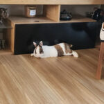 respect des besoins animal