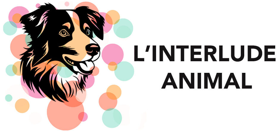 L'interlude animal