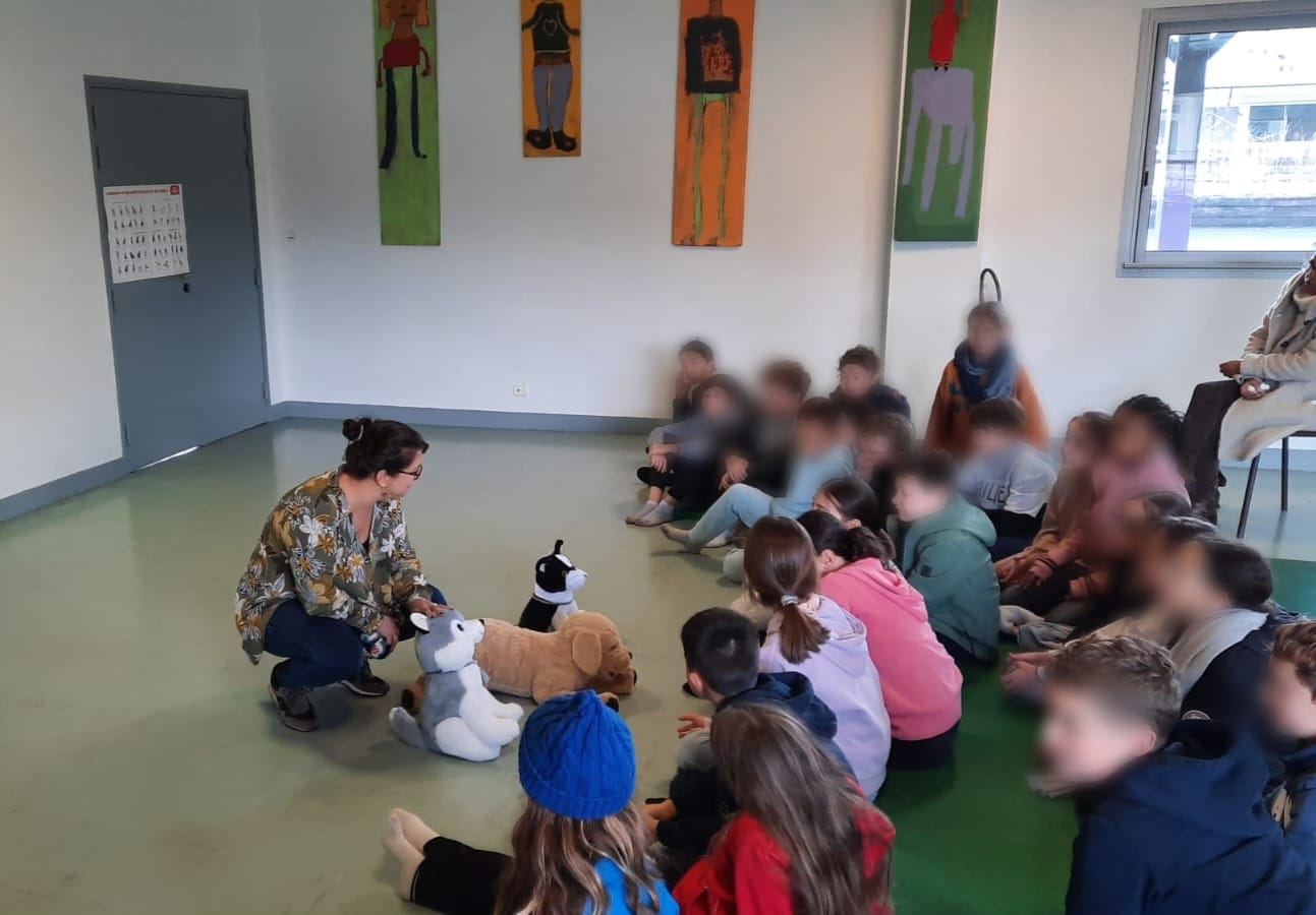 éducation aux comportements canins